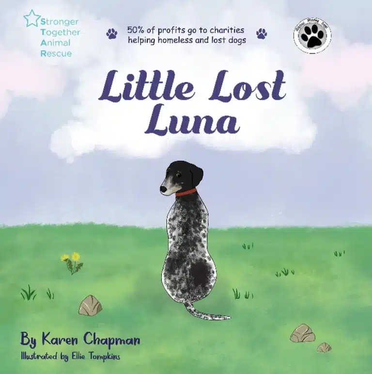 Cover Design of Little Lost Luna