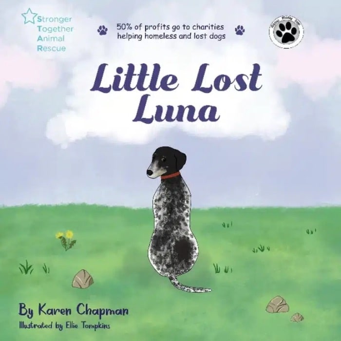 Little Lost Luna cover with gentle watercolour girl and dreamy sky background.