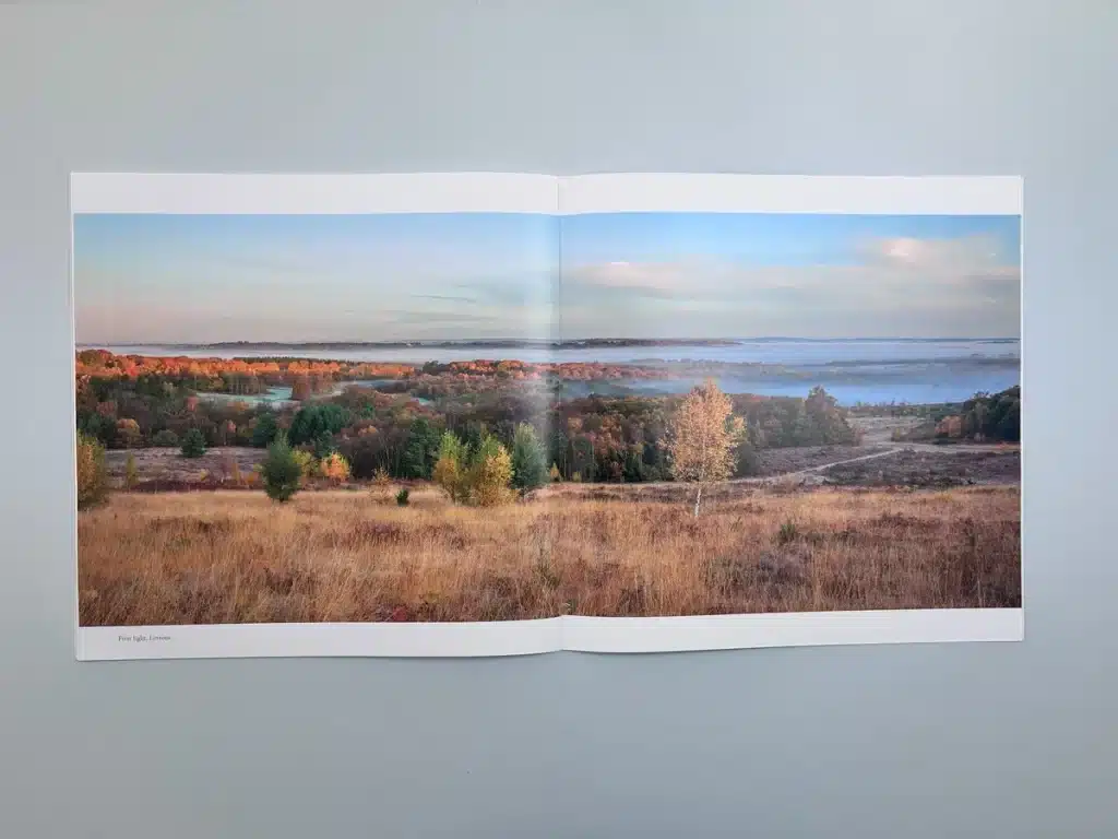 Example of four-colour printing in "Ashdown Forest" booklet.