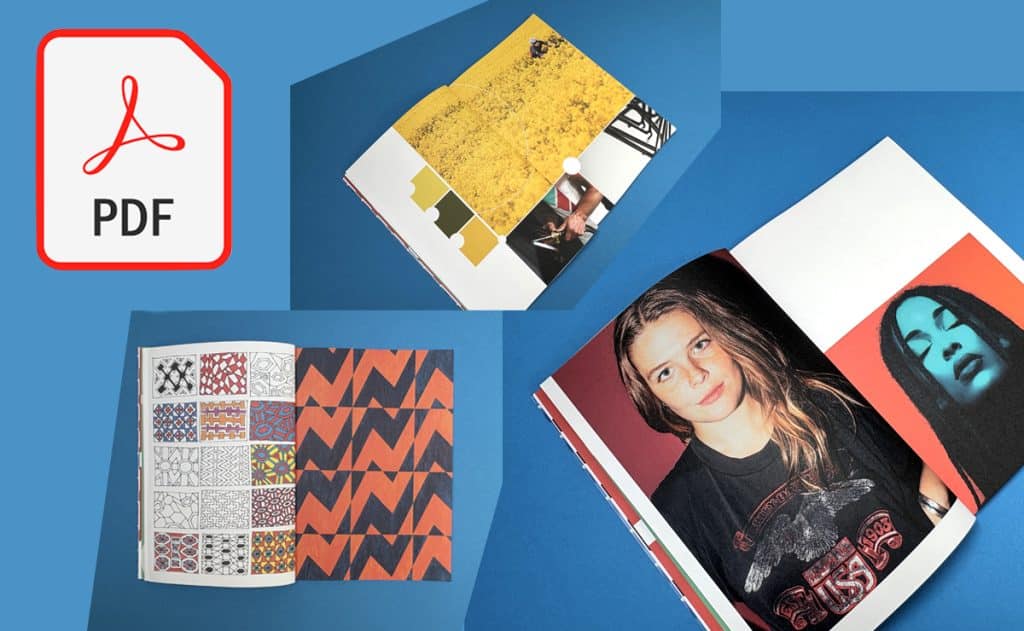 Close-up of Ex Why Zed booklet printing and the PDF logo