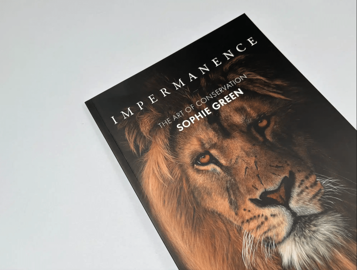 Ex Why Zed catalogue portfolio showcasing a cover image