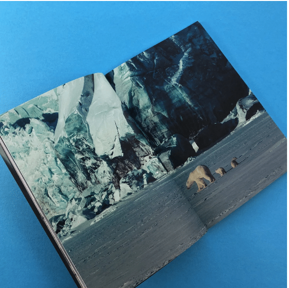 High quality wildlife photo book printed by Ex Why Zed with vivid colour reproduction