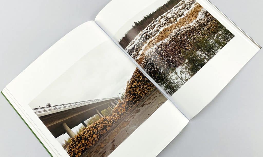 Self-published author choosing sustainable paper for EUDR-compliant book printing with Ex Why Zed