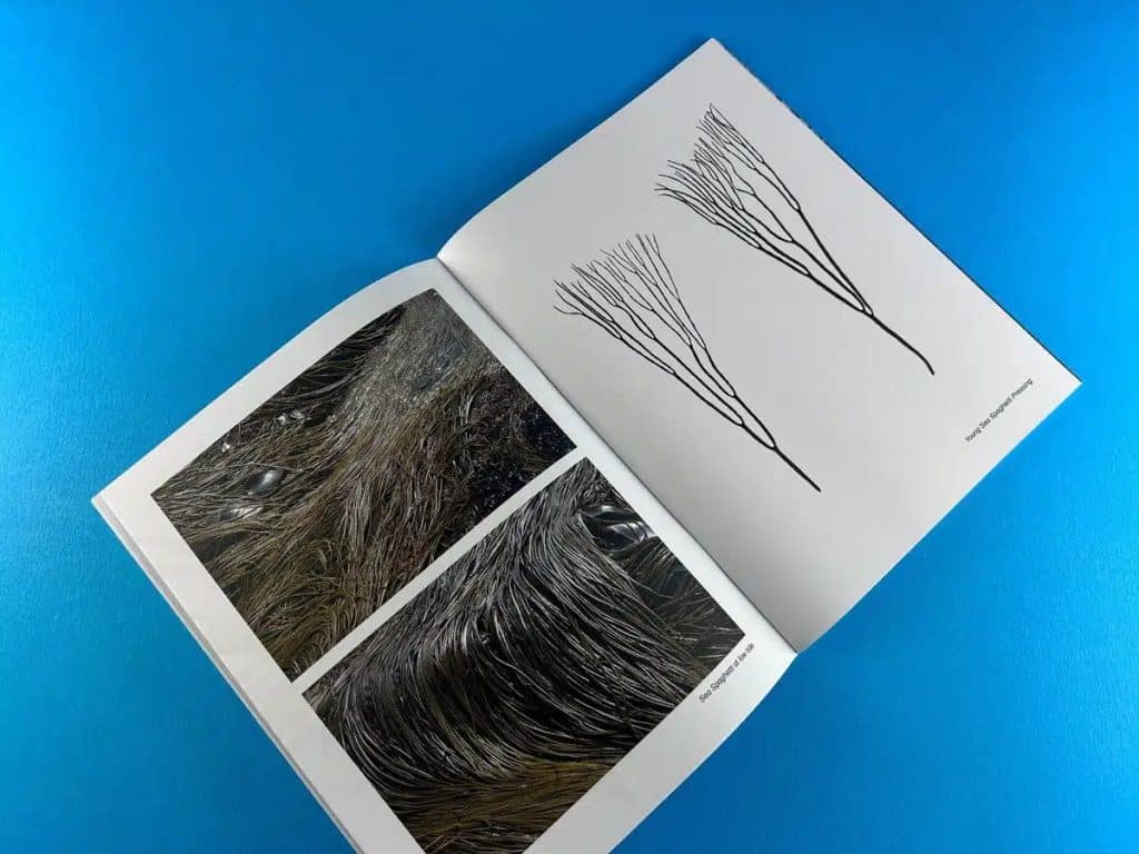 Open printed art portfolio book showing photography spreads and line drawings