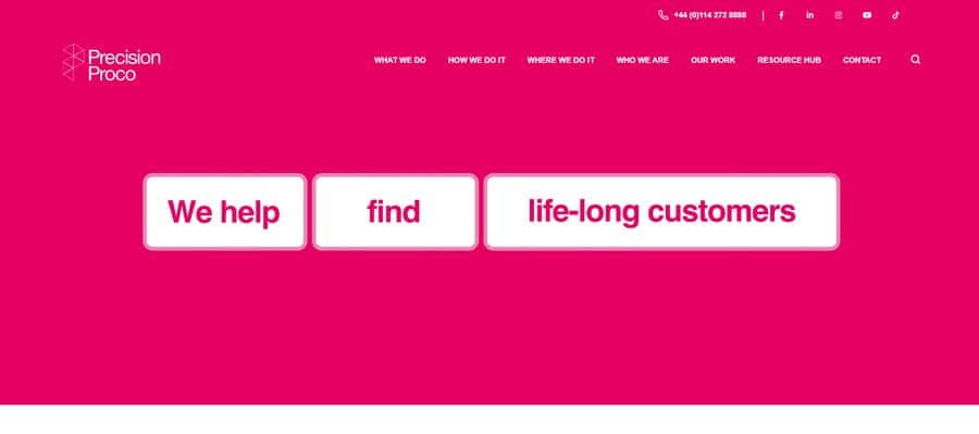 Precision Proco website with a bold pink homepage message about helping brands find lifelong customers.