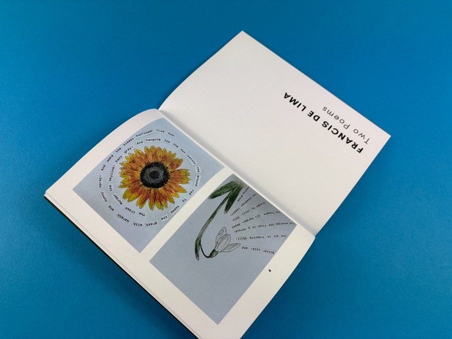A5 art and poetry book printed by Ex Why Zed for Royal Holloway, an example of how the compact A5 format works for close-up viewing.