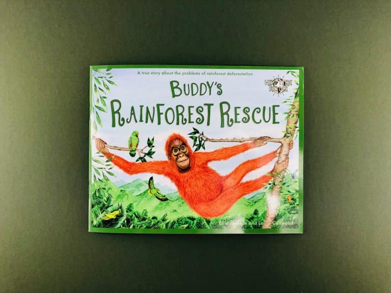 Landscape picture book cover of Buddy’s Rainforest Rescue, an orange orangutan hanging from a branch among green leaves.