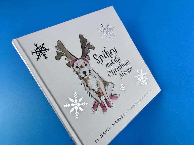 Spikey and the Christmas Mouse square hardback cover with five silver-foiled snowflakes catching the light.